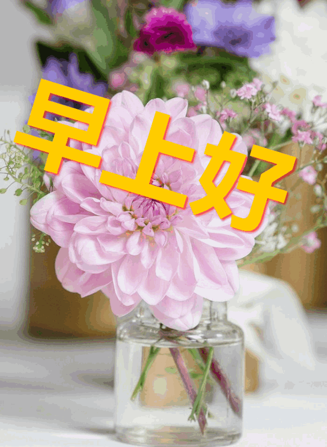 嘉实基金短信：开启财富增值的便捷之路