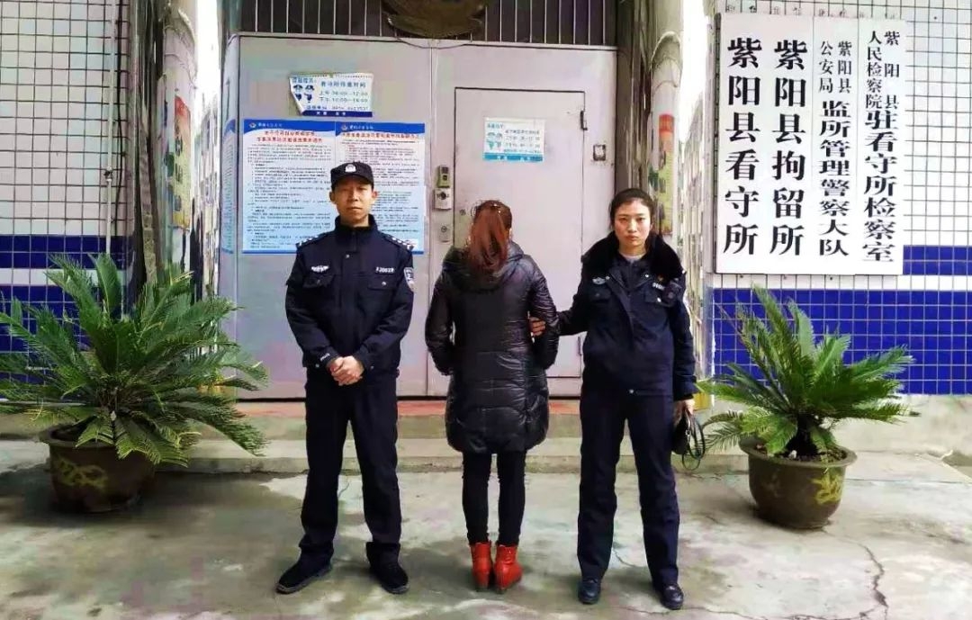 融360逾期给亲友发短信:揭秘逾期借款的潜在风险与应对策略 融360逾期给亲友发短信:揭秘逾期借款的潜在风险与应对策略